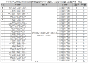 2022年肥西县推动经济高质量发展若干政策第15条大数据企业认定奖补联合会审结果公示